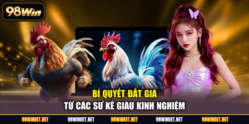 Bí quyết đắt giá từ các sư kê giàu kinh nghiệm