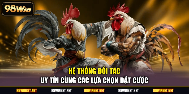 Hệ thống đối tác uy tín cùng các lựa chọn đặt cược