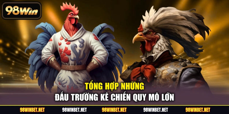 Tổng hợp những đấu trường kê chiến quy mô lớn